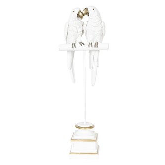 Dva papoušci na bidýlku