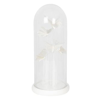 Dekorace pod skleněným poklopem