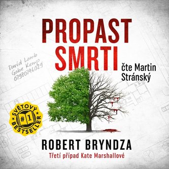 Propast smrti (AUDIOKNIHA CD)