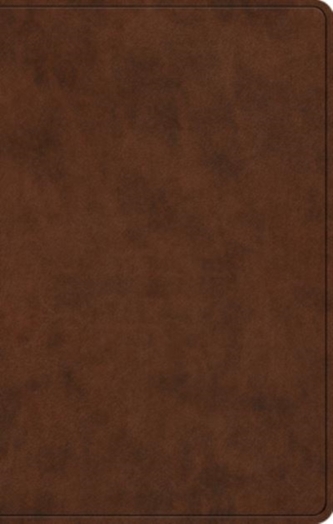 ESV PREMIUM GIFT BIBLE TRUTONE B