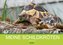 Meine Schildkröten (Wandkalender 2022 DIN A2 quer)