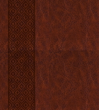 KJV Expressions Bible