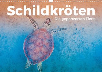 Schildkröten - Die gepanzerten Tiere. (Wandkalender 2022 DIN A3 quer)