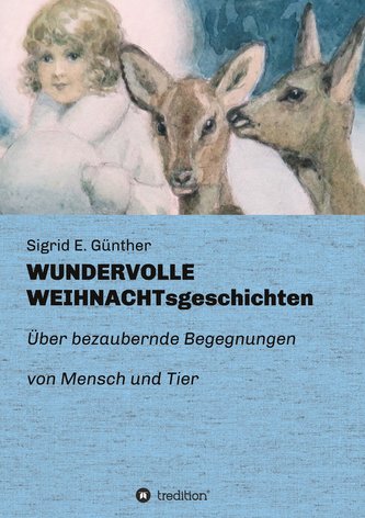 WUNDERVOLLE WEIHNACHTsgeschichten