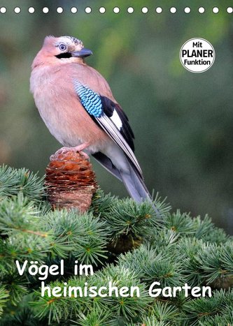 Vögel im heimischen Garten (Tischkalender 2022 DIN A5 hoch)