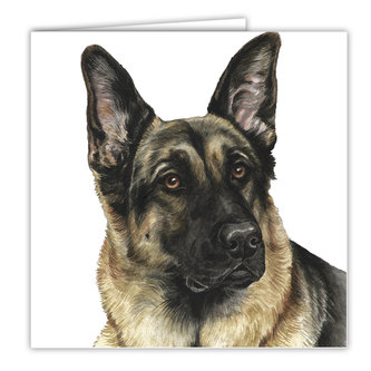 Přání AC-28 Waggy Dogz