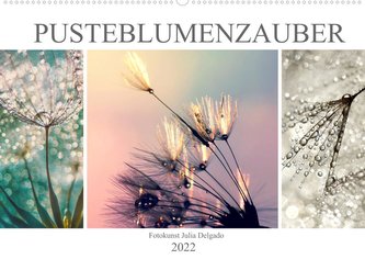 PusteblumenZauber (Wandkalender 2022 DIN A2 quer)