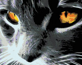 Malování podle čísel - ČERNÁ KOČKA A JASNÝ POHLED - 80x100 cm, vypnuté plátno na rám