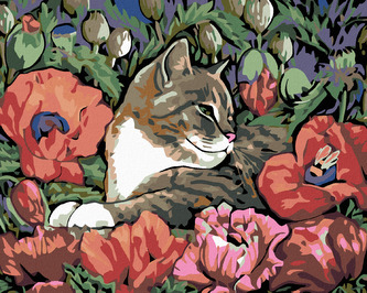 Malování podle čísel - KOTĚ A VLČÍ MÁK - 80x100 cm, vypnuté plátno na rám