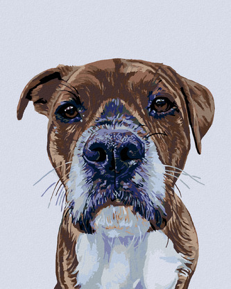 Malování podle čísel - PSÍ POHLED - 80x100 cm, vypnuté plátno na rám