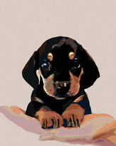 Malování podle čísel - ŠTĚNĚ KRÁTKOSRSTÉHO JEZEVČÍKA - 80x100 cm, bez rámu a bez vypnutí plátna