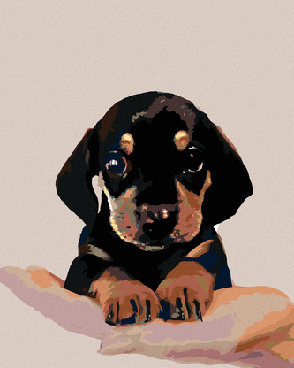 Malování podle čísel - ŠTĚNĚ KRÁTKOSRSTÉHO JEZEVČÍKA - 80x100 cm, bez rámu a bez vypnutí plátna