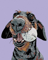 Malování podle čísel - PES S GOLFOVÝM MÍČKEM - 40x50 cm, bez rámu a bez vypnutí plátna