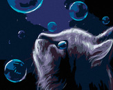 Malování podle čísel - KOČKA A BUBLINY V NOCI - 40x50 cm, bez rámu a bez vypnutí plátna