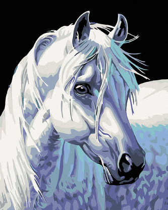 Malování podle čísel - BÍLÝ KŮŇ II - 80x100 cm, vypnuté plátno na rám