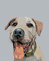 Malování podle čísel - PES SE ZELENÝM OBOJKEM - 40x50 cm, vypnuté plátno na rám