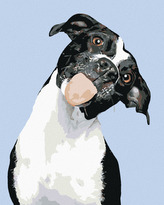 Malování podle čísel - ČERNOBÍLÝ PES A VYPLÁZNUTÝ JAZYK - 80x100 cm, vypnuté plátno na rám