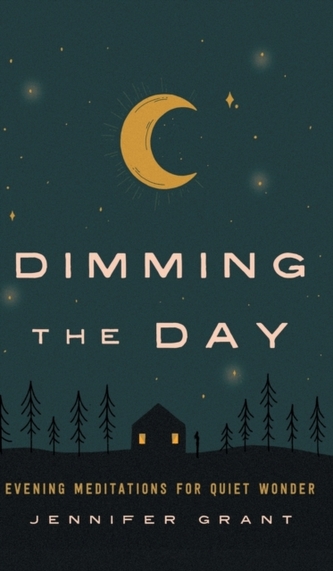 Dimming the Day