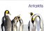 Antarktis - viaje.ch (Wandkalender 2022 DIN A2 quer)