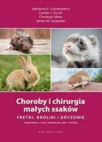 Choroby i chirurgia małych ssaków Fretki, króliki, gryzonie