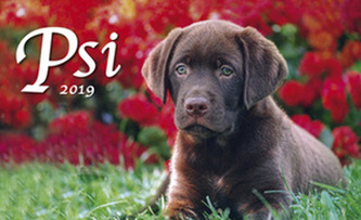 Psi 2019 - stolní kalendář