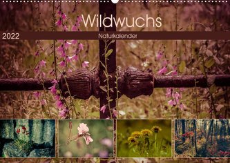 Wildwuchs 2022 (Wandkalender 2022 DIN A2 quer)
