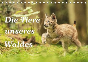 Die Tiere unseres Waldes (Tischkalender 2022 DIN A5 quer)