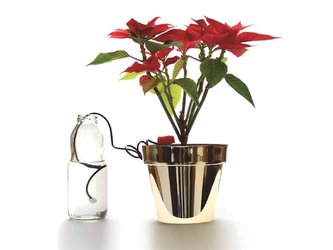 Zavlažovač do květináče TES PPIDOZ 2ks