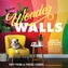 Wonder Walls: How to Transform Your Space with Colorful Geometrics, Graphic Lettering and Other Fabulous Paint Technique