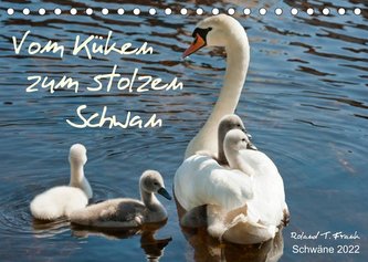 Vom Küken zum stolzen Schwan (Tischkalender 2022 DIN A5 quer)