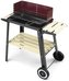 LANDMANN gril na dřevěné uhlí (vozík), grilovací plocha 47 x 23 cm, černý