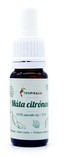 Tropikalia Esenciální olej 10 ml Levandule