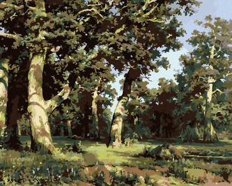 Malování podle čísel - DUBOVÝ HÁJ (IVAN SHISHKIN) - 80x100 cm, vypnuté plátno na rám