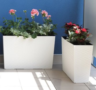 Truhlík samozavlažovací VERBENA ratan bílý