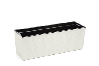 Truhlík samozavlažovací BEGONIA vrub krémový