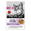 Kap.Pur.PP Cat DELICATE Kruta 85 g