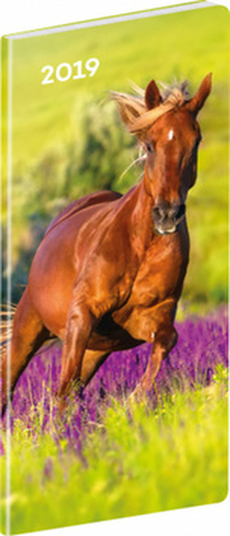 Vreckový diár Kone SK 2019, plánovací mesačný, 8 x 18 cm