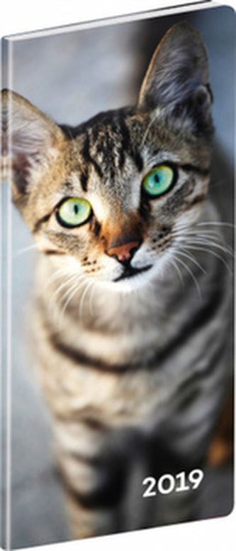 Vreckový diár Mačky SK 2019, plánovací mesačný, 8 x 18 cm