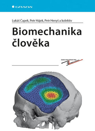 Biomechanika člověka Biomechanika člověka