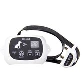 Patpet KD661C-pro 1 psa