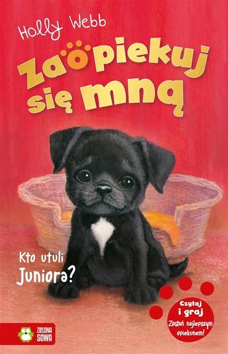 Zaopiekuj się mną Kto utuli Juniora?