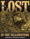 Lost in Yellowstone