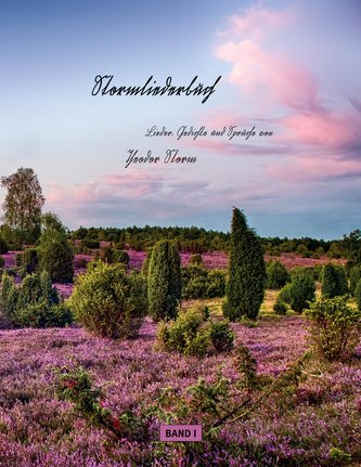 Stormliederbuch - Sütterlin