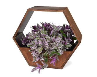 Truhlík na rostliny Hexagon 36 cm