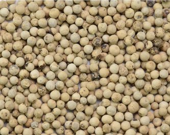 Pepř bílý celý 40 g