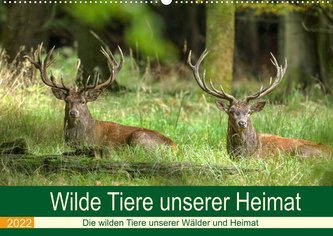 Wilde Tiere unserer Heimat (Wandkalender 2022 DIN A2 quer)