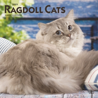 Ragdoll Cats 2021 Square Calendar
