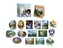 Bob Ross: Happy Little Magnets