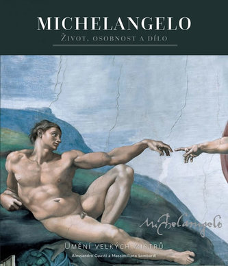 Michelangelo Michelangelo