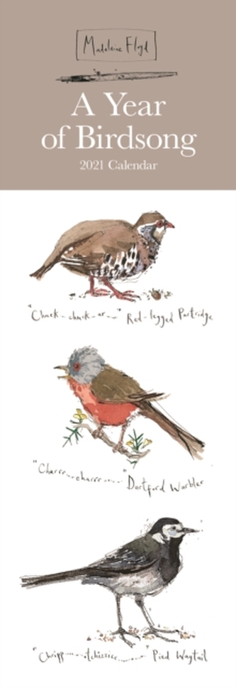 Madeleine Floyd, A Year of Birdsong Slim Calendar 2021